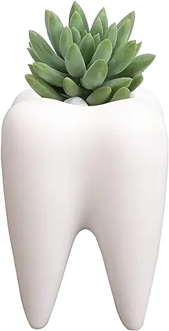 Maceta de Plantas Suculentas Youya Dental, Bonita Forma de Diente, Maceta de Cerámica Blanca para Cactus, Maceta de Flores, Soporte Creativo para Lápices para Oficina Hogar, Escritorio Decoración  