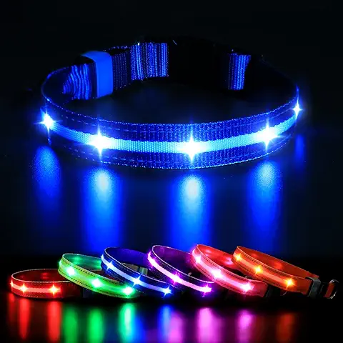 MASBRILL Collar LED Perro, Collar para Perro Luminoso Recargable y Impermeable, 3 Modos de Iluminación led y Tamaño Ajustable para Perros Pequeños Medianos Grandes(Azul XS)  