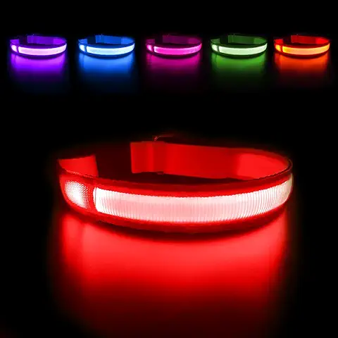 MASBRILL Collar Luminoso Perro de Mascota, 3 Modos Collar Perro Luz con Recargable y Impermeable, Ajustable Collares LED para Perros Pequeños/Medianos/Grandes(Rojo M)  