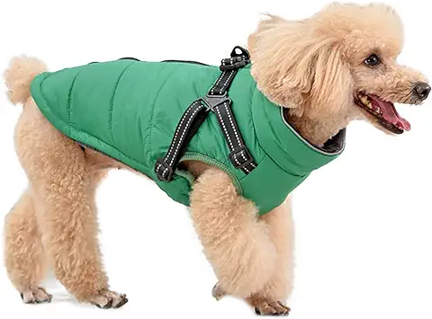 Misazy Ropa para Perros Pequeños, Chaleco Perro Pequeño, Diseño de Cremallera, 2 en 1 Abrigo para el Clima Frío y Correa Trasera Reflectante (Verde, S)  