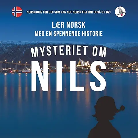 Mysteriet om Nils. Lær Norsk med en Spennende Historie. Norskkurs for deg som kan noe Norsk fra før (nivå B1-B2).  