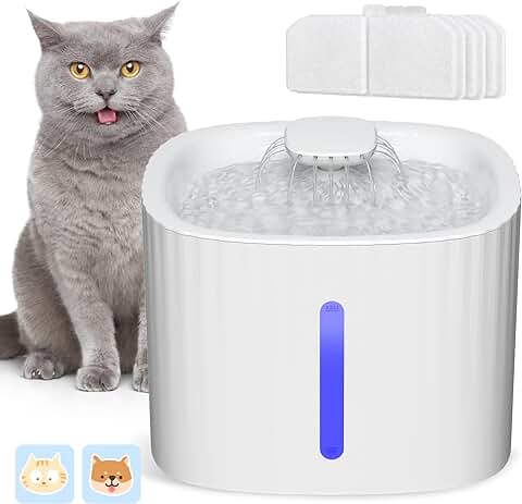 Descubre los mejores bebederos con filtro para gatos, la solución perfecta para mantener su agua siempre fresca y limpia