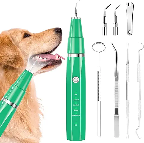 Ni-SHEN Kit de Limpieza Dental Ultrasónica para Mascotas, Cuidado Dental para Perros y Gatos (verde)  