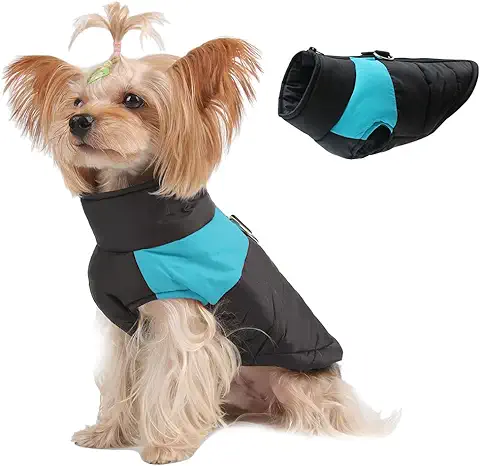 Novetec Abrigo del Perro de Invierno, Chaqueta del Perro Impermeable Abrigo de Invierno para Perros Pequeños Medianas Grandes Gato Chaleco de Invierno a Prueba de Viento Ropa Mascotas (S, Azul)  