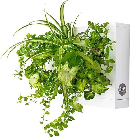 Ortisgreen Mini Jardin Vertical Blanco para 6 Plantas con Sustrato Natural Premium e Instrucciones. Cuadro Vegetal, Maceta de Pared, Maceta para Colgar.  