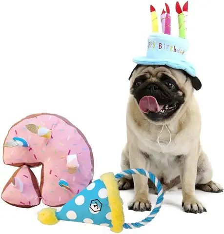 Patasbox - Modelo Cumpleaños - Pack de Juguetes para Perros - Mordedor de Tarta de Cumpleaños y Gorro de Fiesta - Fabricado con Poliéster - Tecnología Silvershield - Repele los Malos Olores  