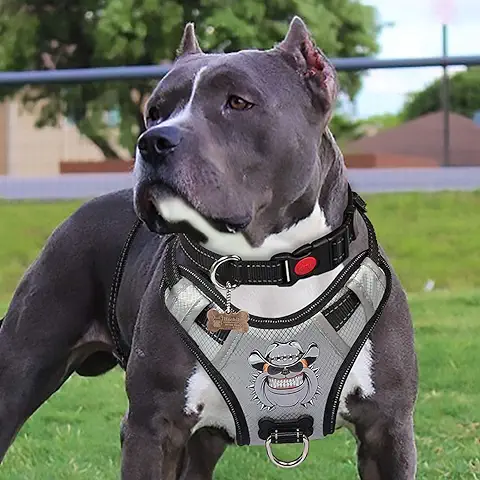 PENGDA Arnés Perros Sin Tirón Chaleco para Mascotas Grande Arnés para Automóvil con Asa Malla Reflectante Transpirable Ajustable Cómodo para Entrenamiento al Aire Libre o Caminar Ligero(Plata)  