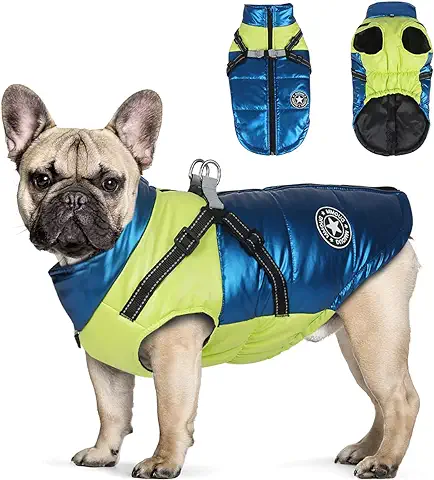 Perro Chaqueta Otoño Invierno, RosyFate Chaleco Mascota Pequeño, Abrigo Perro Pequeño Impermeable, Ropa Invierno Perro Pequeño, Cálido Chaleco Prueba de Viento (M)  