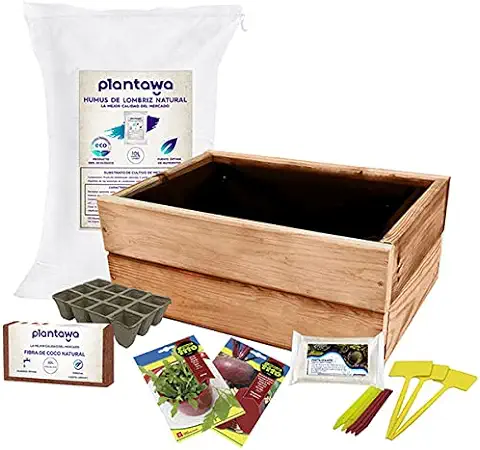 PLANTAWA Kit de Cultivo Huertano, Kit de Semillas para Huerto Urbano Interior, Siembra en Casa Jardín o Terraza, Huerta con Jardinera Remolacha y Rúcula  