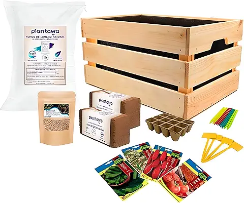 PLANTAWA Kit de Cultivo, Huerto Urbano para Plantar en Casa, Kit de Cultivo Completo, con Semillas de Plantas de Interior, Fabricado en España, Ecológico, Mini Huerto Niños  