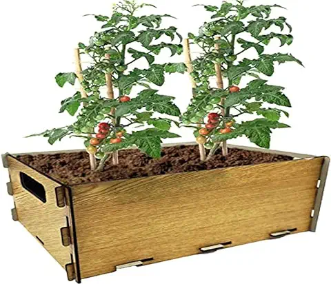 PLANTAWA Kit de Siembra para Tomates, Kit de Cultivo para Huerto Urbano, Jardinera Interior para Casa, Kit Cultivo de Plantas Naturales Tomates Frescos  