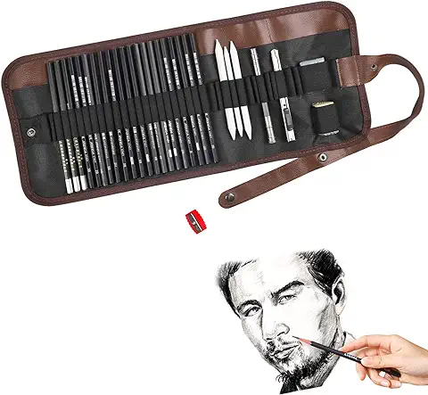 Profesional Lapices De Dibujo Artístico, 29 Pieza Set de Dibujo Artista Kit con Lápiz Carbón Grafito und Lápices de Madera, para Estudiantes Artistas Niños Adultos Principiante, con Estuche Portátil  