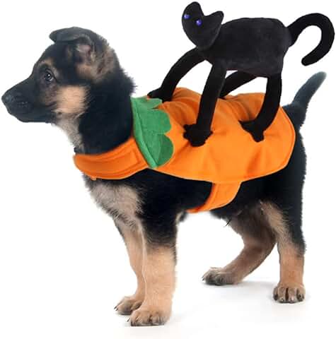 Ranvi Disfraces para Perros Disfraces de Halloween Divertidos para Perros con Gato Negro Ropa Linda para Cachorros para la Fiesta de Navidad Perros y Gatos Pequeños(S)  