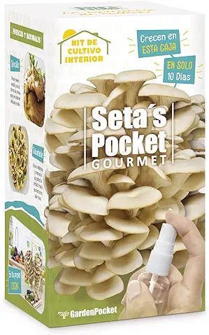 SETAS POCKET - Kit de SETAS AUTOCULTIVO - Cultivar Setas en casa en solo 10 Días.  