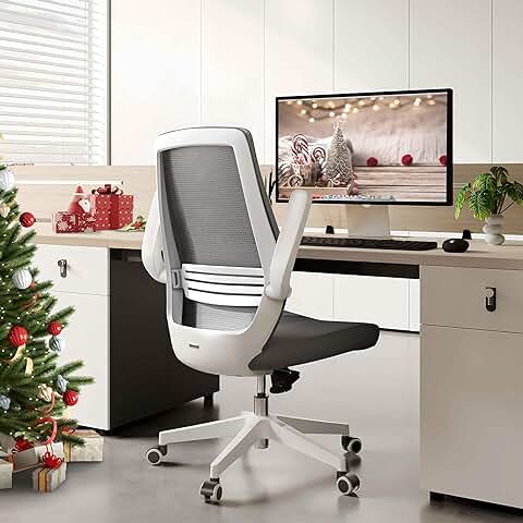 SIHOO Silla de Oficina Ergonómica Moderna, Giratoria de 360 ​​° con Cómodo Soporte Lumbar y Reposabrazos Plegables, Silla de Computadora Ajustable en Altura con Ruedas Silenciosas (Gris)  