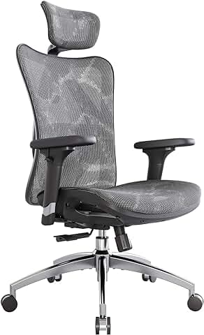 SIHOO Silla de Oficina Ergonómica, Silla de Escritorio, Respaldo Alto, Transpirable, Silla de Malla, con Reposabrazos 3D y Soporte Lumbar Ajustables(Gris)  