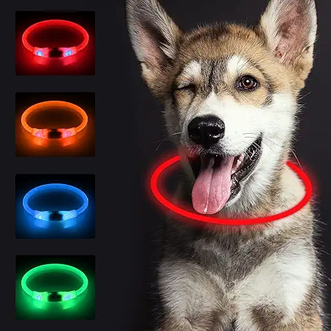 Ilumina los paseos nocturnos con nuestros collares luminosos para perros, mantén a tu mejor amigo seguro y visible en todo momento