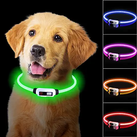 TENXSNUG Collar Luminoso Perros Recargable por Type-C, Collar Luminoso LED Perro con Ajustable y Impermeable, 3 Modos Seguridad Nocturna Collares LED para Perros Pequeños Medianos Grandes, Verde  