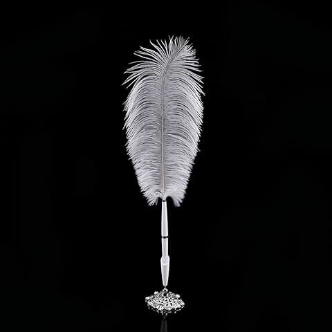 Tiiyee BolíGrafo De Plumas, Regalos De Plumas De Avestruz Conjunto De CaligrafíA De Firma Elegante para Principiantes Suministros De Oficina para Bodas De Halloween Base De Plata Escritura Escolar  