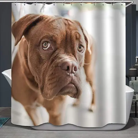 TJZ HOME Cortina de Ducha Divertida con Diseño de Perro, la Apariencia del Perro de Hacer algo Malo, Divertido Mirándote a ti, Cortinas de Baño de tela de Poliéster con Ganchos, Juego de 72 Pulgadas  