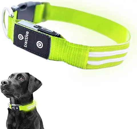 Tractive Collar Luminoso para Perros, Carga USB, Impermeable, Collar LED (S, Verde)  