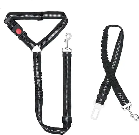 URAQT Correas para Perros, 2 Piezas Correa Perro Adiestramiento Ajustable, Correas Antitirones para Perros Manos Libres para Perros Grandes y Medianos, Correas Nylon Resistente, Negra  