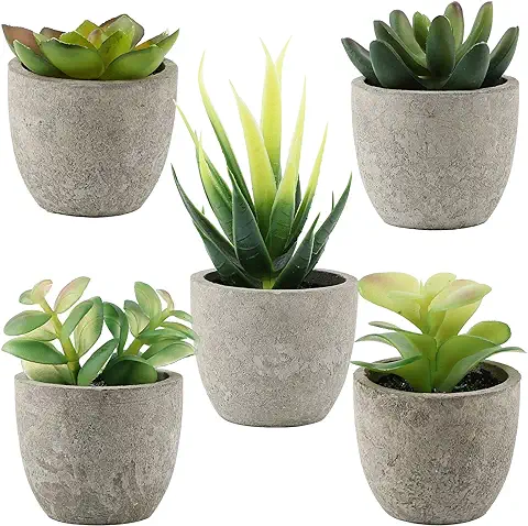 VINFUTUR 5pcs Suculentas Artificiales Plantas Pequeñas Decorativas con Maceta Plantas Falsas Adornos Suculentas para Decoración Mesa Escritorio Estantería Casa Oficina Salón Cafetería Regalos  