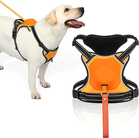 Wildpark Arnés para Perros con Correa Retráctil, Arnés Reflectante Ajustable Anti-tirón, sin Asfixia con Manija de Control Fácil para Entrenamiento y Caminata, Mediano  