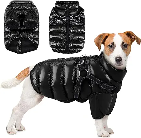 Woiil Perro Chaqueta Otoño Invierno, Abrigo Perro Impermeable y Cortaviento, Mascota Chaleco Caliente con Arnés, Chubasquero Perro para Perros Pequeños, Medianos y Grandes, Ropa Perro Pequeño(M Negro)  