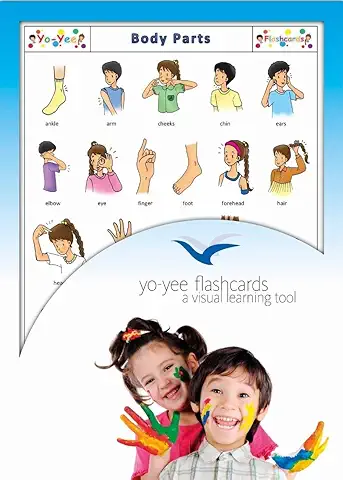 Yo-Yee Flashcards Tarjetas con Ilustraciones para el Fomento del Aprendizaje del Idioma - Partes del Cuerpo - para Las Clases de Inglés en Guarderías, Escuelas Infantiles y Educación Primaria  