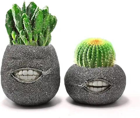 YOOTOM 2 Maceteros Creativo de Ventana de Resina, Maceta para Plantas Suculentas Cactus, Macetas Divertida de Cara, Mini Macetas Decorativas para Flores y Plantas Pequeña Forma con Cabeza  