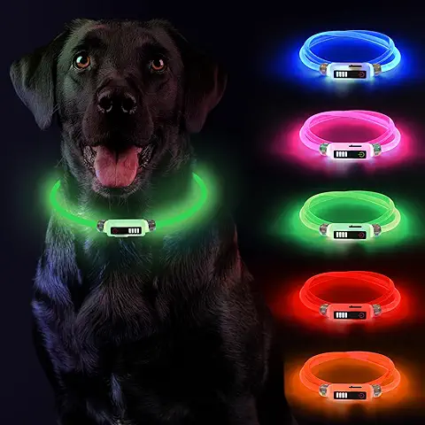 Yordawn Collar Luminoso Perro Recargable Collar Perro Impermeable con 3 Modos Luz Longitud Ajustable Pantalla de Electricidad Collares LED para Perros Gatos Pequeño Mediano Grande, Verde  