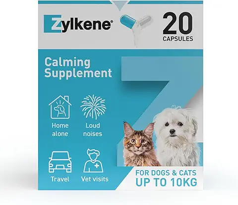 Zylkene Suplementos Calmantes para Gatos y Perros de Hasta 10 kg 75 mg | Ayuda a Aliviar la Ansiedad de las Mascotas en Situaciones Difíciles | Se Administra Fácilmente | 20 Cápsulas  