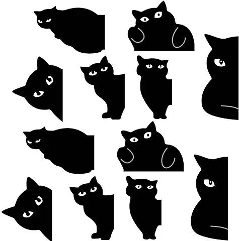 LAKSOL 12 Piezas Punto de Libro Marcapaginas Magnetico Originales Marcapaginas Magneticos Personalizado Marca Gato Libros Curious Cat Color Negro Para Amantes de Los Libros y Amantes de Los Gatos  