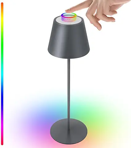 Uuffoo LED Lampara de Mesa Recargable, Lampara Inalámbrica 8 Colores Regulable Lampara Tactil, Acero Inoxidable Impermeable IP54 Lampara Exterior, Adecuado para Interiores/Outdoor (A,Gris Oscuro)  