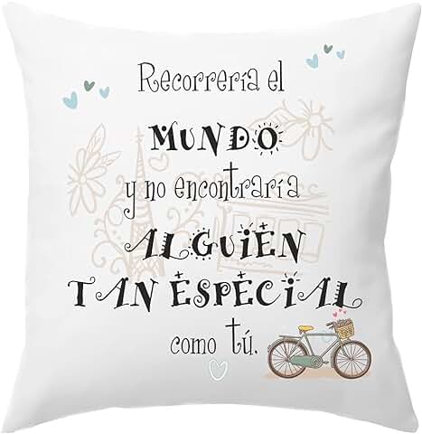 Worfull Regalos Cojín Personalizado TAMAÑO 40X40 cm Frase Motivadora Recorrería el Mundo en Bicicleta y no Encontraría Alguien Tan Especial. San Valentín  